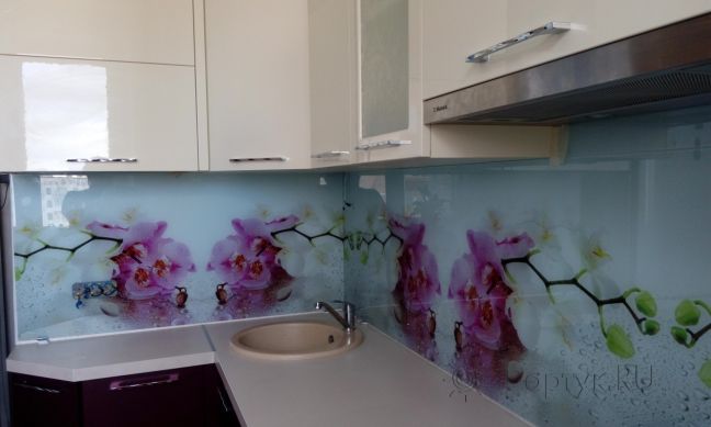 Фартук фото: орхидеи, заказ #УТ-1861, Фиолетовая кухня.