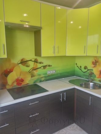 Скинали для кухни фото: орхидеи, заказ #РРУТ-047, Желтая кухня.