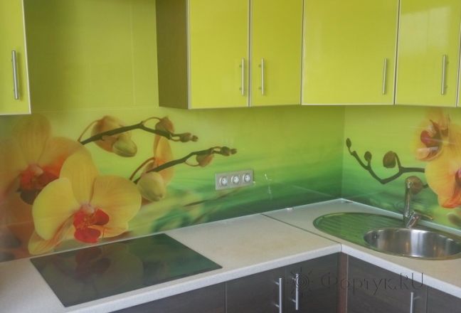 Скинали для кухни фото: орхидеи, заказ #РРУТ-047, Желтая кухня.