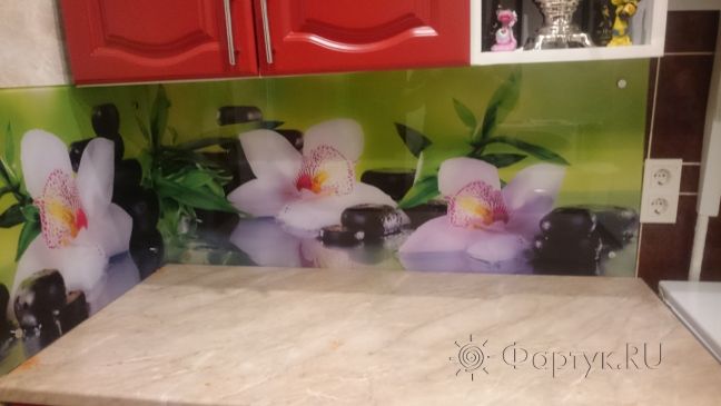Скинали фото: орхидеи, заказ #КРУТ-068, Красная кухня.