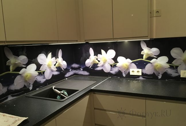 Фартук для кухни фото: орхидеи, заказ #КРУТ-219, Белая кухня. Изображение 113014