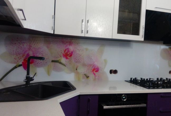 Фартук фото: орхидеи, заказ #ИНУТ-90, Фиолетовая кухня. Изображение 146988