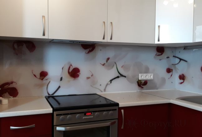 Скинали фото: орхидеи, заказ #ИНУТ-1609, Красная кухня. Изображение 111352
