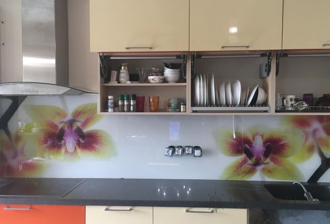 Скинали для кухни фото: орхидеи, заказ #КРУТ-886, Желтая кухня.