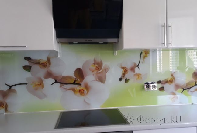Фартук для кухни фото: орхидеи, заказ #ИНУТ-1972, Белая кухня. Изображение 201150