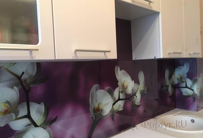 Фартук фото: орхидеи, заказ #КРУТ-1007, Фиолетовая кухня. Изображение 111304