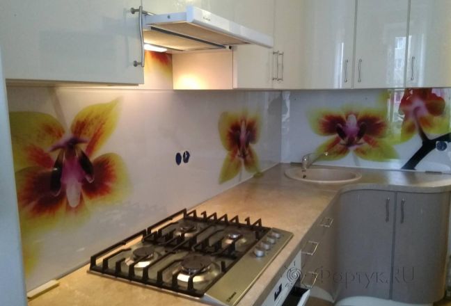 Стеновая панель фото: орхидеи, заказ #ИНУТ-3093, Серая кухня. Изображение 80646
