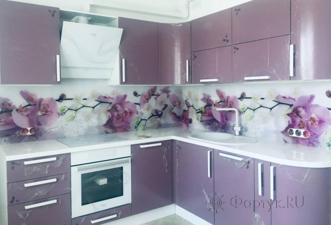Фартук фото: орхидеи, заказ #КРУТ-1468, Фиолетовая кухня.