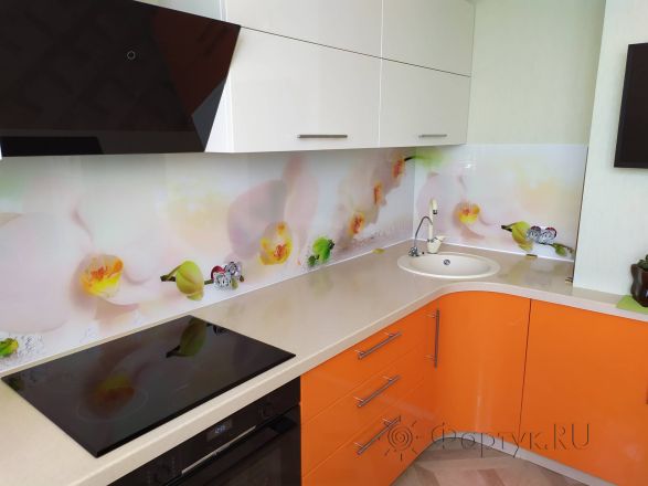Фартук стекло фото: орхидеи, заказ #ИНУТ-3664, Оранжевая кухня.