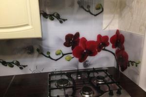 Фартук с фотопечатью фото: орхидеи, заказ #КРУТ-1869, Коричневая кухня.