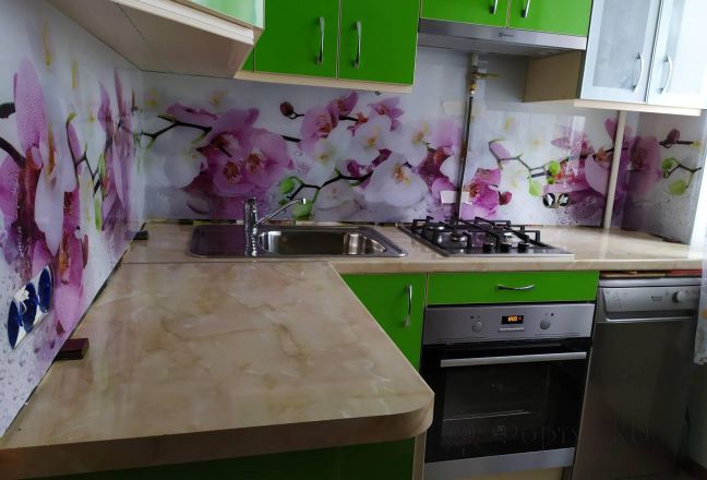 Скинали для кухни фото: орхидеи, заказ #ИНУТ-5583, Зеленая кухня. Изображение 186184