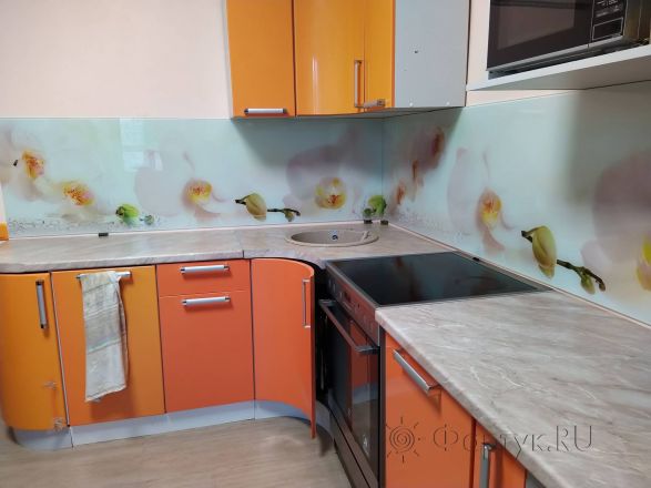 Фартук стекло фото: орхидеи, заказ #ИНУТ-5507, Оранжевая кухня.