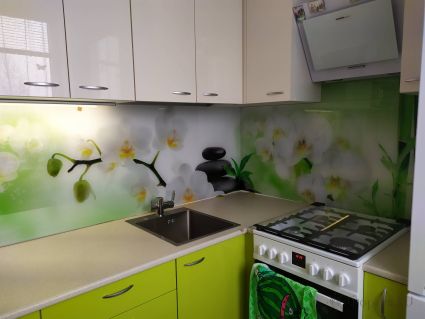 Скинали для кухни фото: орхидеи белые, заказ #ИНУТ-8276, Зеленая кухня.