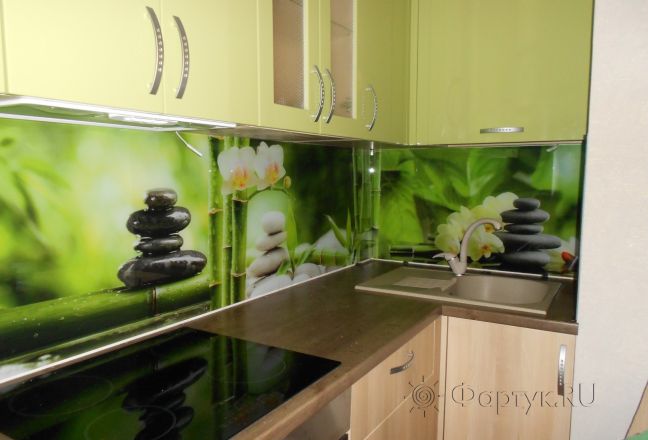 Скинали для кухни фото: орхидеи и камни, заказ #УТ-1807, Зеленая кухня. Изображение 186148
