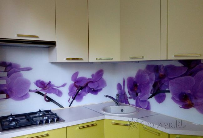 Скинали для кухни фото: орхидеи на белом, заказ #УТ-808, Зеленая кухня.