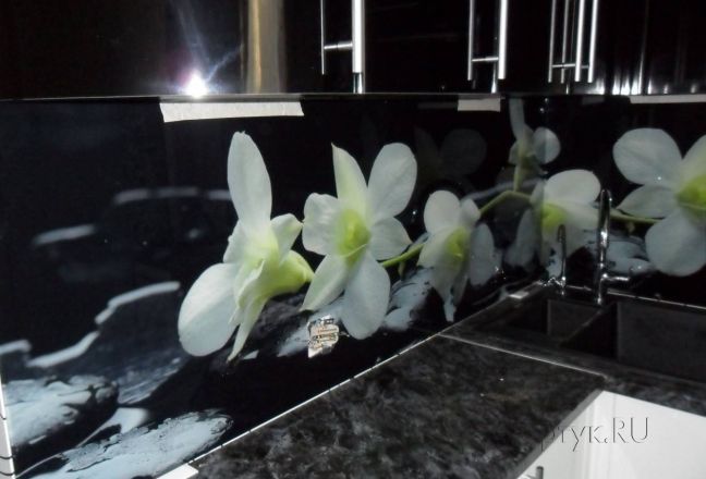 Скинали фото: орхидеи на черном фоне., заказ #SN -339, Черная кухня. Изображение 113014