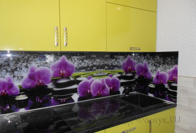 Скинали для кухни фото: орхидеи на камнях, заказ #УТ-1776, Зеленая кухня.