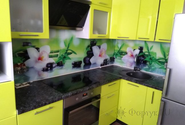 Скинали для кухни фото: орхидеи на камнях, заказ #ИНУТ-1183, Зеленая кухня. Изображение 186356