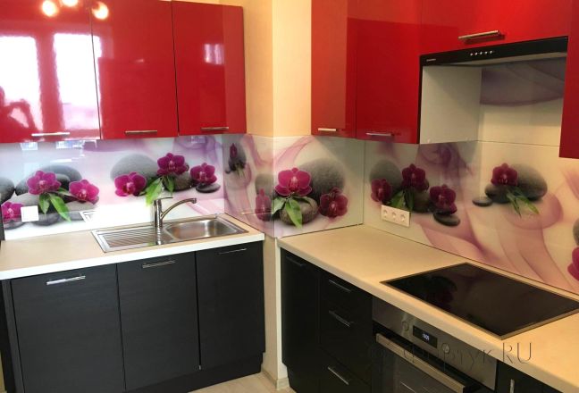 Скинали фото: орхидеи на камнях, заказ #КРУТ-2050, Красная кухня.