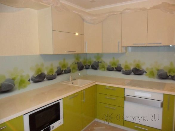 Скинали для кухни фото: орхидеи на камнях под цвет фасада., заказ #УТ-102, Зеленая кухня.