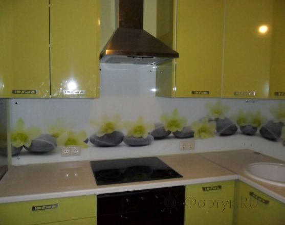 Скинали для кухни фото: орхидеи на матовых камнях., заказ #S-1006, Зеленая кухня.