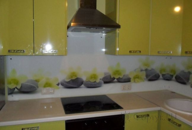 Скинали для кухни фото: орхидеи на матовых камнях., заказ #S-1006, Зеленая кухня. Изображение 111356
