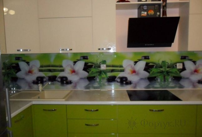Скинали для кухни фото: орхидеи на зеленом., заказ #УТ-250, Зеленая кухня.