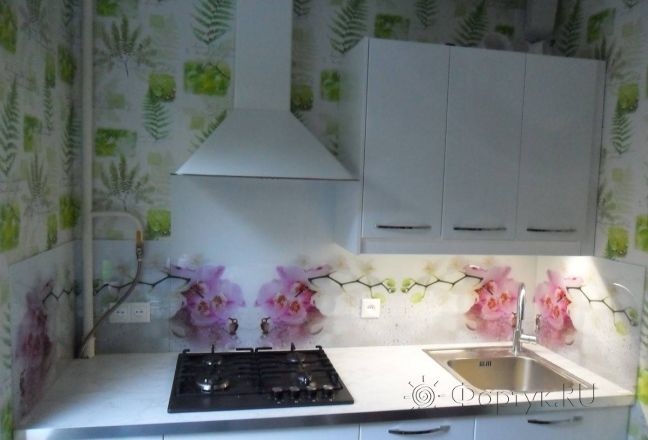 Фартук для кухни фото: орхидеи в капельках росы., заказ #S-644, Белая кухня. Изображение 111312