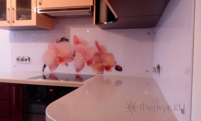 Скинали фото: орхидея, заказ #УТ-1327, Красная кухня.