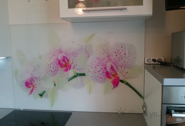 Фартук для кухни фото: орхидея, заказ #КРУТ-113, Белая кухня. Изображение 184114