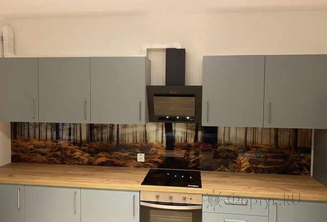 Стеновая панель фото: осенний лес, заказ #КРУТ-2836, Серая кухня.
