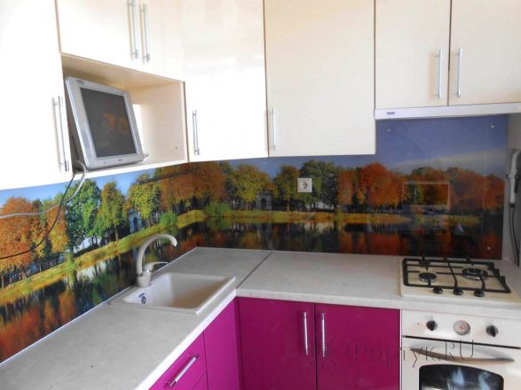 Фартук фото: осенний пейзаж., заказ #S-490, Фиолетовая кухня.