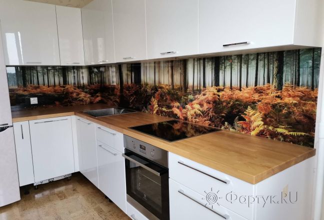 Фартук для кухни фото: осенний пейзаж в лесу, заказ #ИНУТ-9661, Белая кухня.