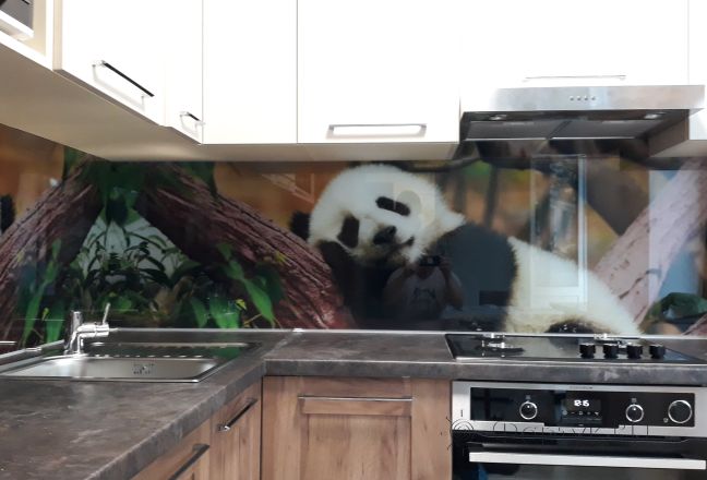 Фартук с фотопечатью фото: панда, заказ #ИНУТ-1475, Коричневая кухня. Изображение 85192