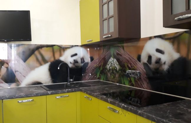 Скинали для кухни фото: панды, заказ #ИНУТ-1870, Зеленая кухня.