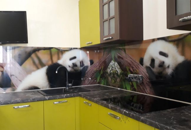 Скинали для кухни фото: панды, заказ #ИНУТ-1870, Зеленая кухня. Изображение 85192