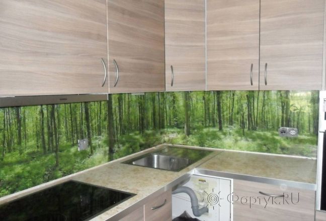 Фартук с фотопечатью фото: панорама зеленого леса., заказ #SN-137, Коричневая кухня. Изображение 111598