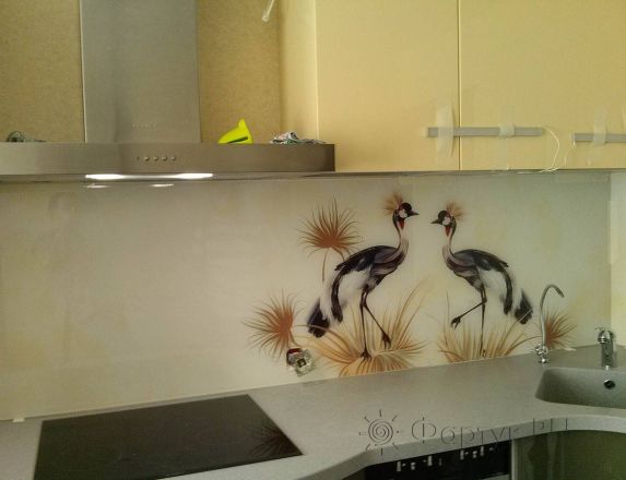 Скинали для кухни фото: пара птиц., заказ #SN-99, Желтая кухня.