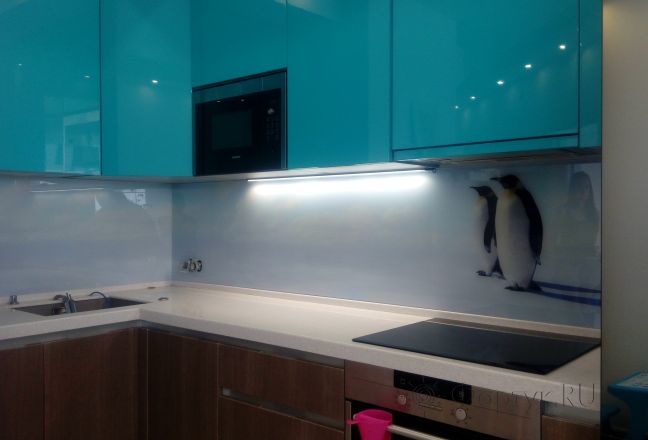 Стеклянная фото панель: пингвины, заказ #ИНУТ-1297, Синяя кухня. Изображение 180924
