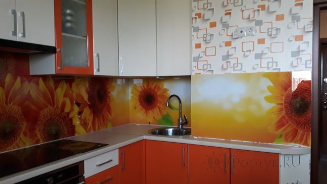 Фартук стекло фото: подсолнухи, заказ #ИНУТ-1472, Оранжевая кухня.