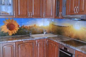 Фартук с фотопечатью фото: подсолнухи в солнечных лучах., заказ #S-612, Коричневая кухня.