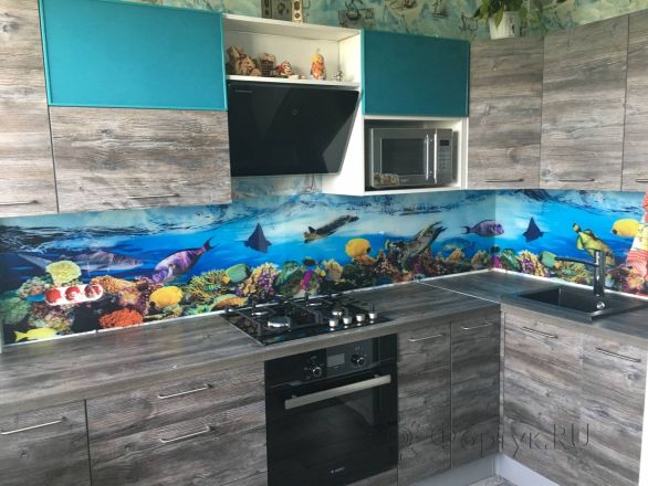 Стеновая панель фото: подводный мир, заказ #КРУТ-1693, Серая кухня.