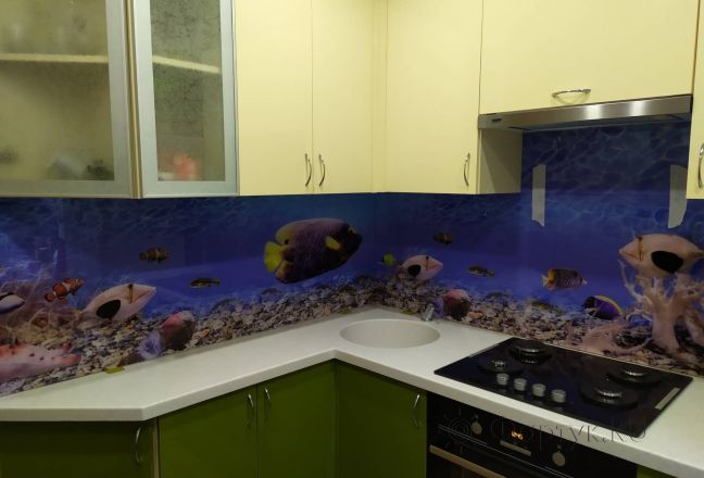 Стеновая панель фото: подводный мир, заказ #ИНУТ-4519, Серая кухня. Изображение 113346