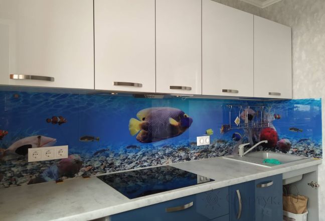 Стеклянная фото панель: подводный мир, заказ #ИНУТ-10097, Синяя кухня. Изображение 113346