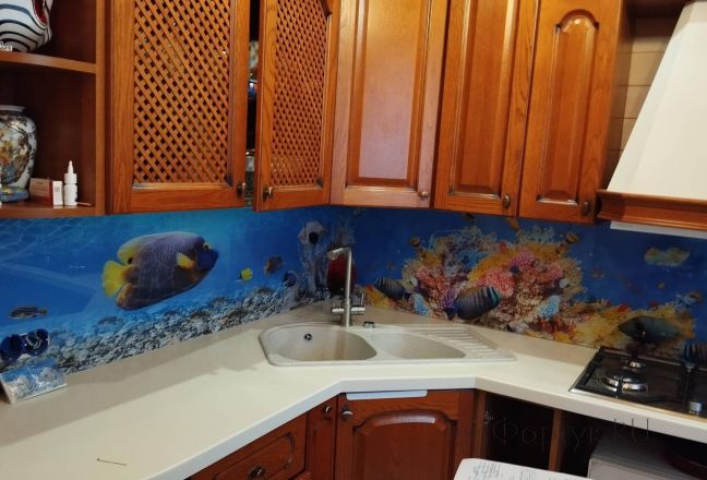 Фартук с фотопечатью фото: подводный мир, заказ #ИНУТ-17111, Коричневая кухня. Изображение 113346
