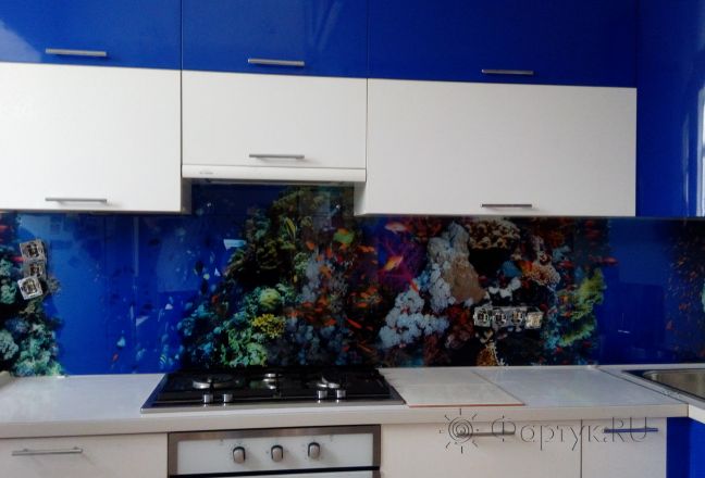 Стеклянная фото панель: подводный мир, коралловые рифы и рыбки, заказ #ИНУТ-161, Синяя кухня. Изображение 199004