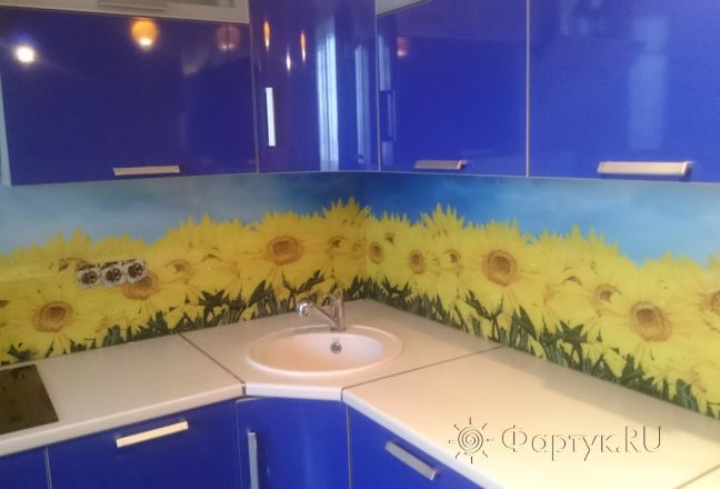 Стеклянная фото панель: поле подсолнухов, заказ #УТ-2000, Синяя кухня.