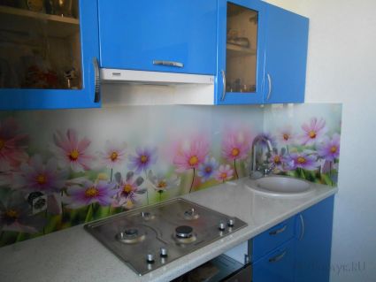 Стеклянная фото панель: полевые разноцветные цветочки., заказ #S-294, Синяя кухня.