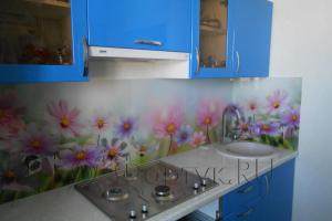 Стеклянная фото панель: полевые разноцветные цветочки., заказ #S-294, Синяя кухня.