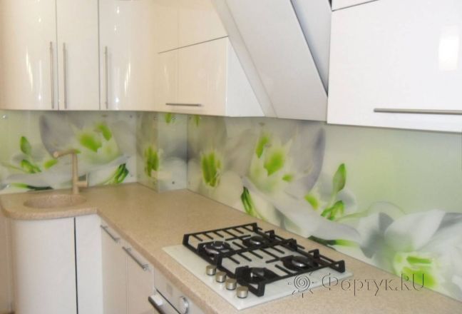 Фартук для кухни фото: прекрасные цветы на белом фоне., заказ #S-1041, Белая кухня. Изображение 111360